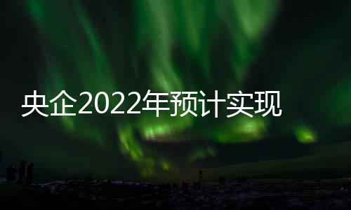 计实总结2022年国资央企工作