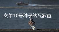 女单10号种子纳瓦罗直落两盘强势横扫晋级，前两轮仅丢7小局