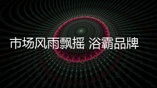 困扰着发展中的市场浴霸企业