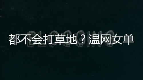 仅剩下世界第一萨巴伦卡一人