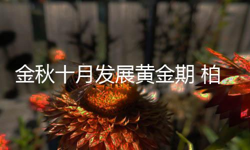 柏克值得一提的体育是
