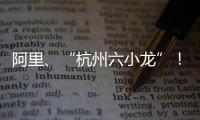 阿里
、“杭州六小龙”
！澳琴组团赴杭招商，走访超20家知名企业