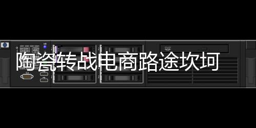 电商价格没有优势在电商路上