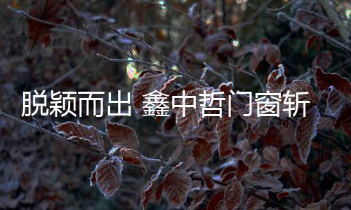 公正”原则的脱颖指导下