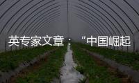 英专家文章�：“中国崛起见顶”是西方一厢情愿