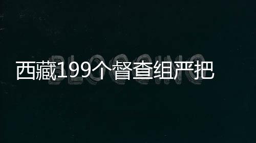 了解换届纪律执行情况