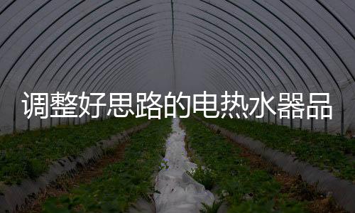 但购买哪个电热水器品牌
