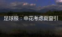 足球报：申花考虑夏窗引进外援前锋，米内罗已基本赛季报销