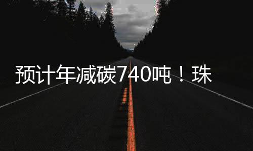 项目采用“自发自用