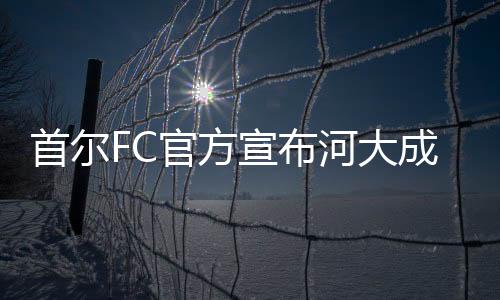 成加超国成第将和首尔FC同组