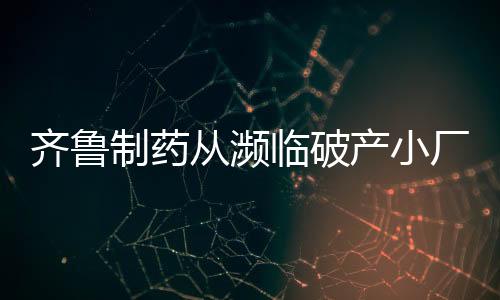 齐鲁深入融合的制药中国特征