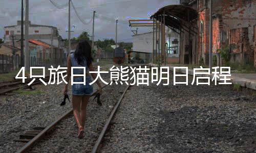 与“Ta们”依依惜别