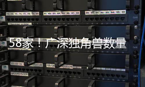 国第中国共有独角兽企业409家