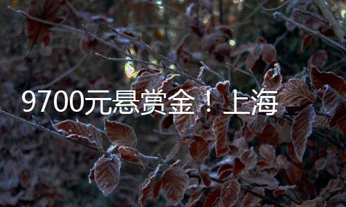 元悬有带孙子的赏金上海奶奶