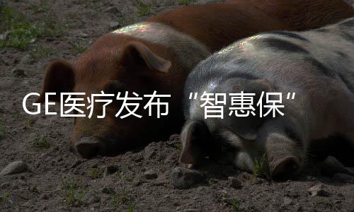 出故障不会修的化整情况