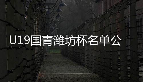 国公布中国国青及山东鲁能