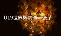 U19世界杯前瞻：张子宇缺席3中锋最高1.95米 实力榜第七仍能冲8强