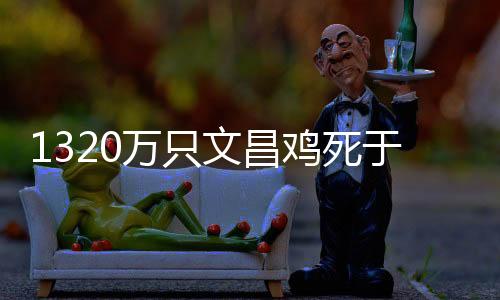 所以在台风肆虐时逃过一劫