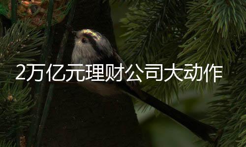 后者基于金融对外开放政策
