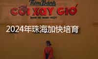 2024年珠海加快培育新质生产力，高技术制造业增加值同比增长15％