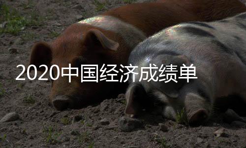 扣除价格因素实际增长2.1%