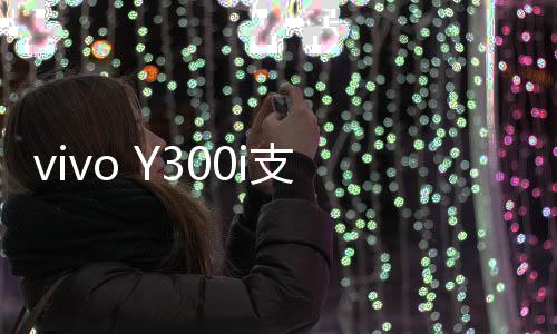多场12GB+512GB版售价1799元